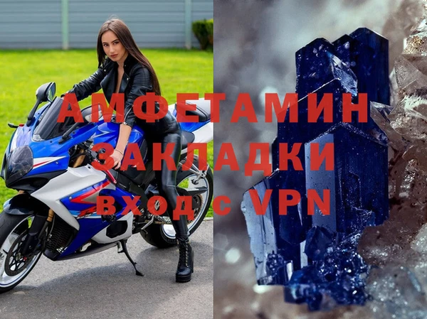 индика Алзамай