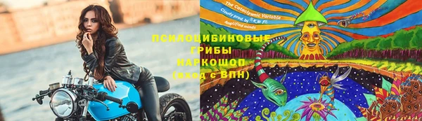 индика Алзамай