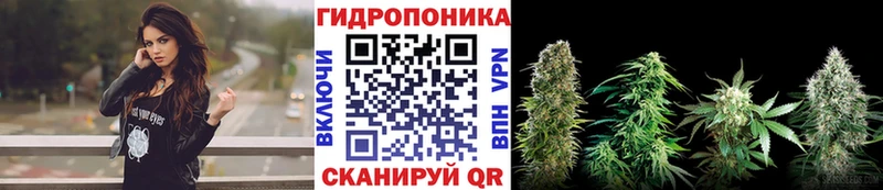 площадка какой сайт  Лобня  Каннабис AK-47  даркнет сайт 